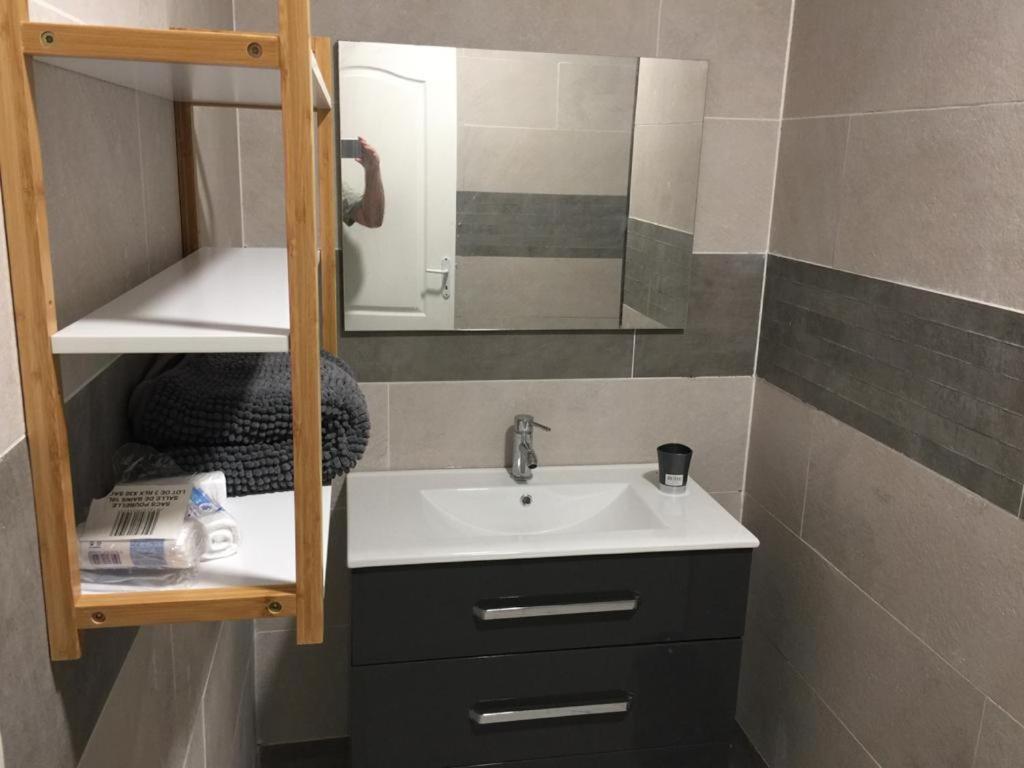 Nicole Residence Avec Piscine Chauffee & Jacuzzi サン・タンドレ エクステリア 写真
