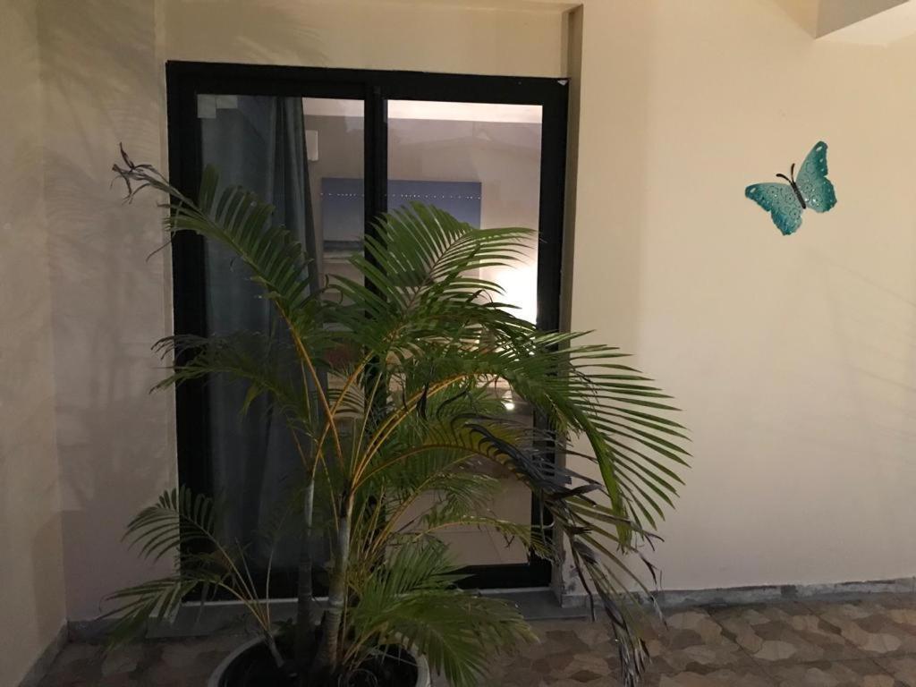Nicole Residence Avec Piscine Chauffee & Jacuzzi サン・タンドレ エクステリア 写真
