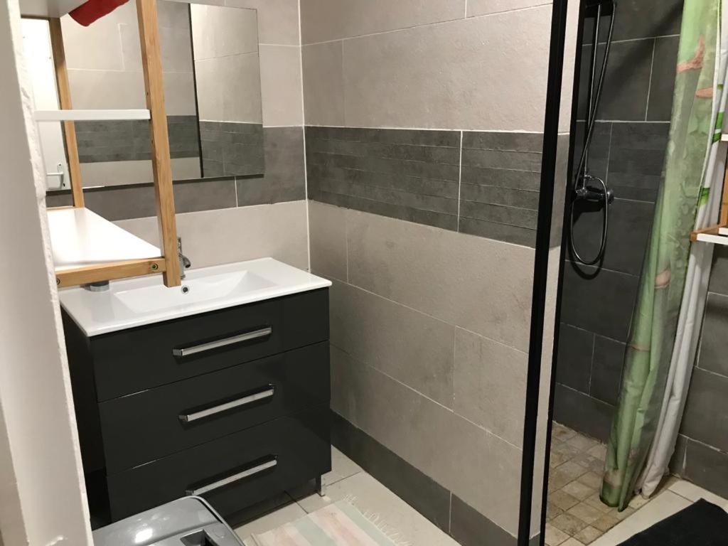 Nicole Residence Avec Piscine Chauffee & Jacuzzi サン・タンドレ エクステリア 写真