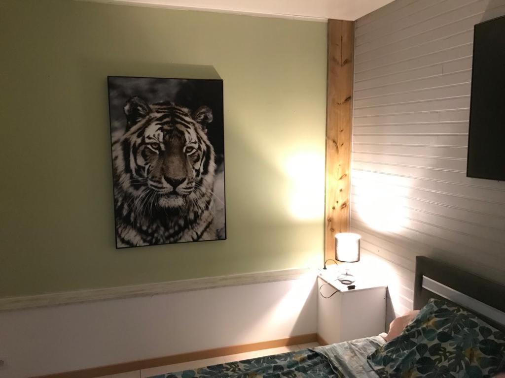 Nicole Residence Avec Piscine Chauffee & Jacuzzi サン・タンドレ エクステリア 写真