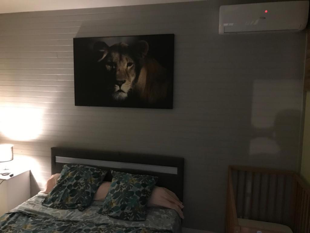 Nicole Residence Avec Piscine Chauffee & Jacuzzi サン・タンドレ エクステリア 写真